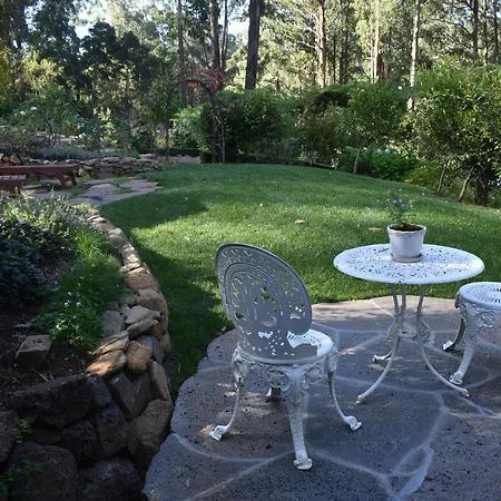 Fern Cottage - Mt Dandenong Romance Mount Dandenong Exterior photo