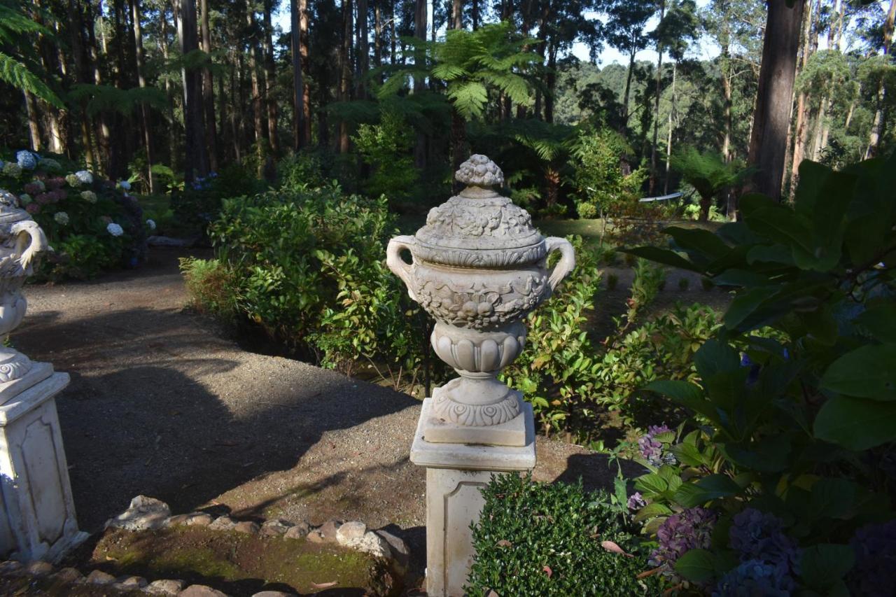 Fern Cottage - Mt Dandenong Romance Mount Dandenong